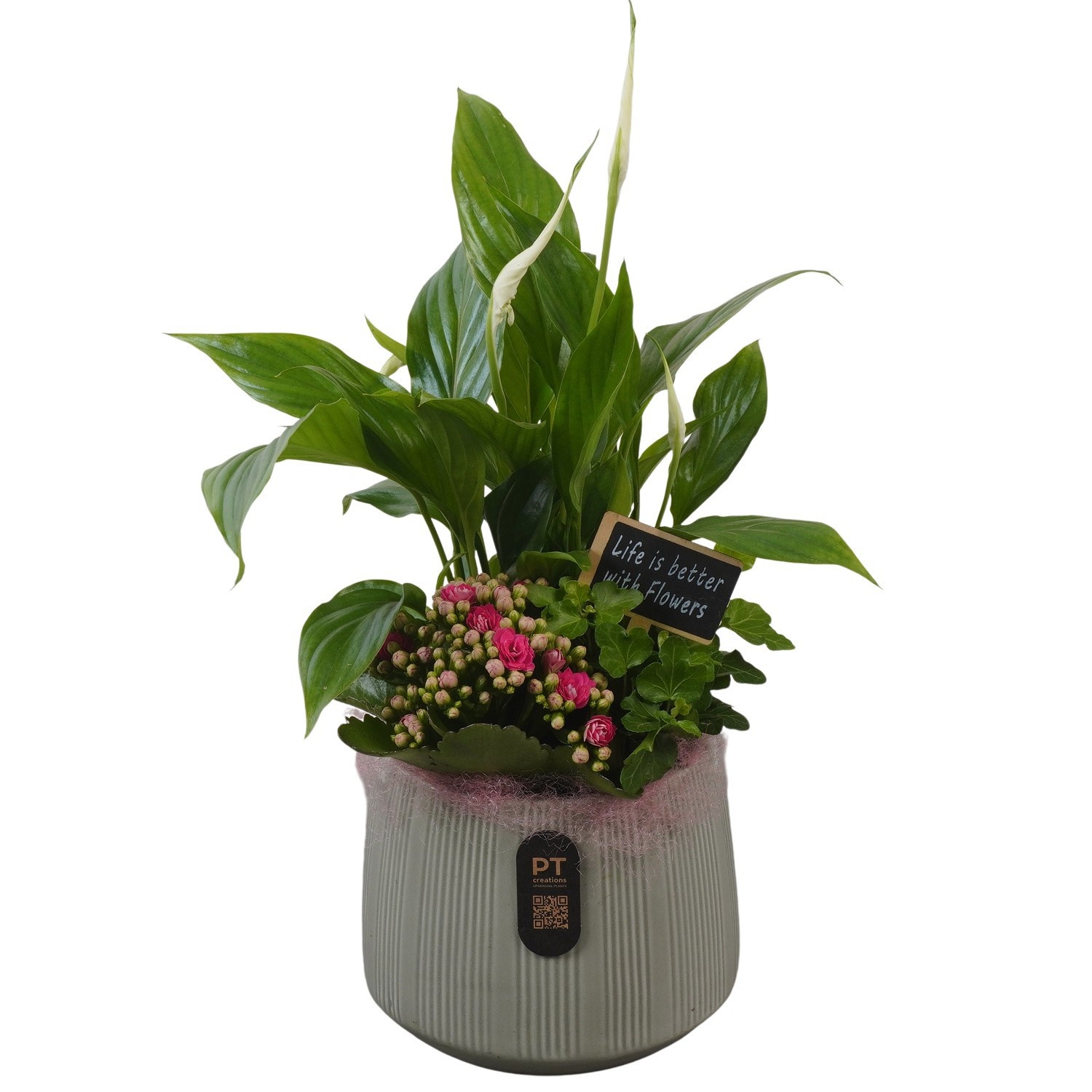 PTIB5176 Arrangement Indoor in keramiek pot, D 15