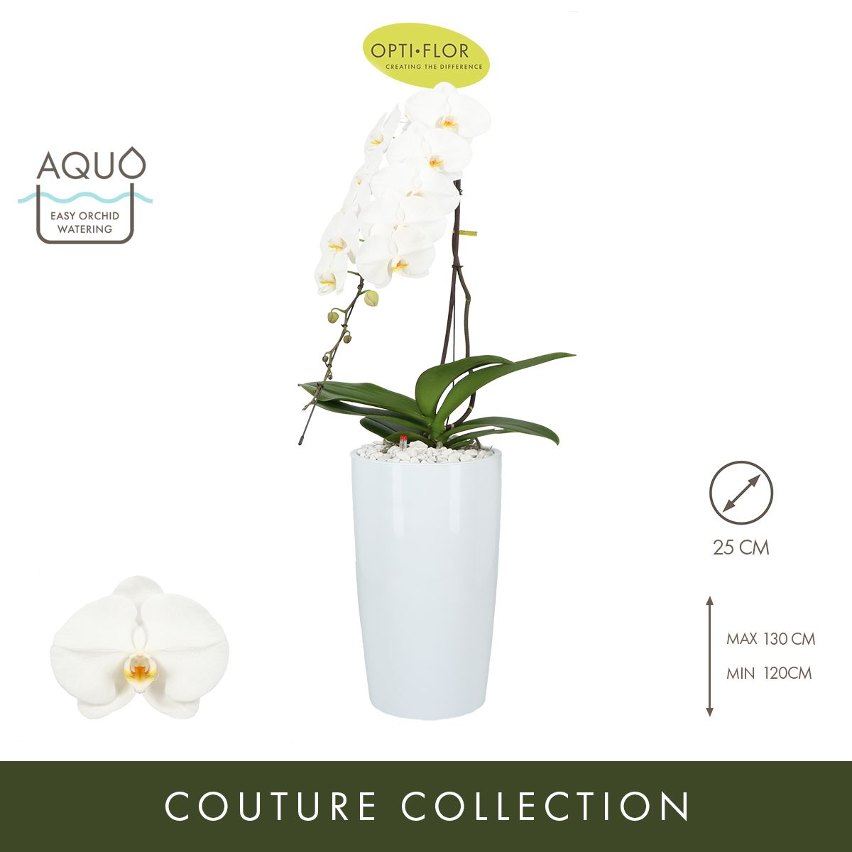 Formidablo N°15 Aqua Care, D 25 cm