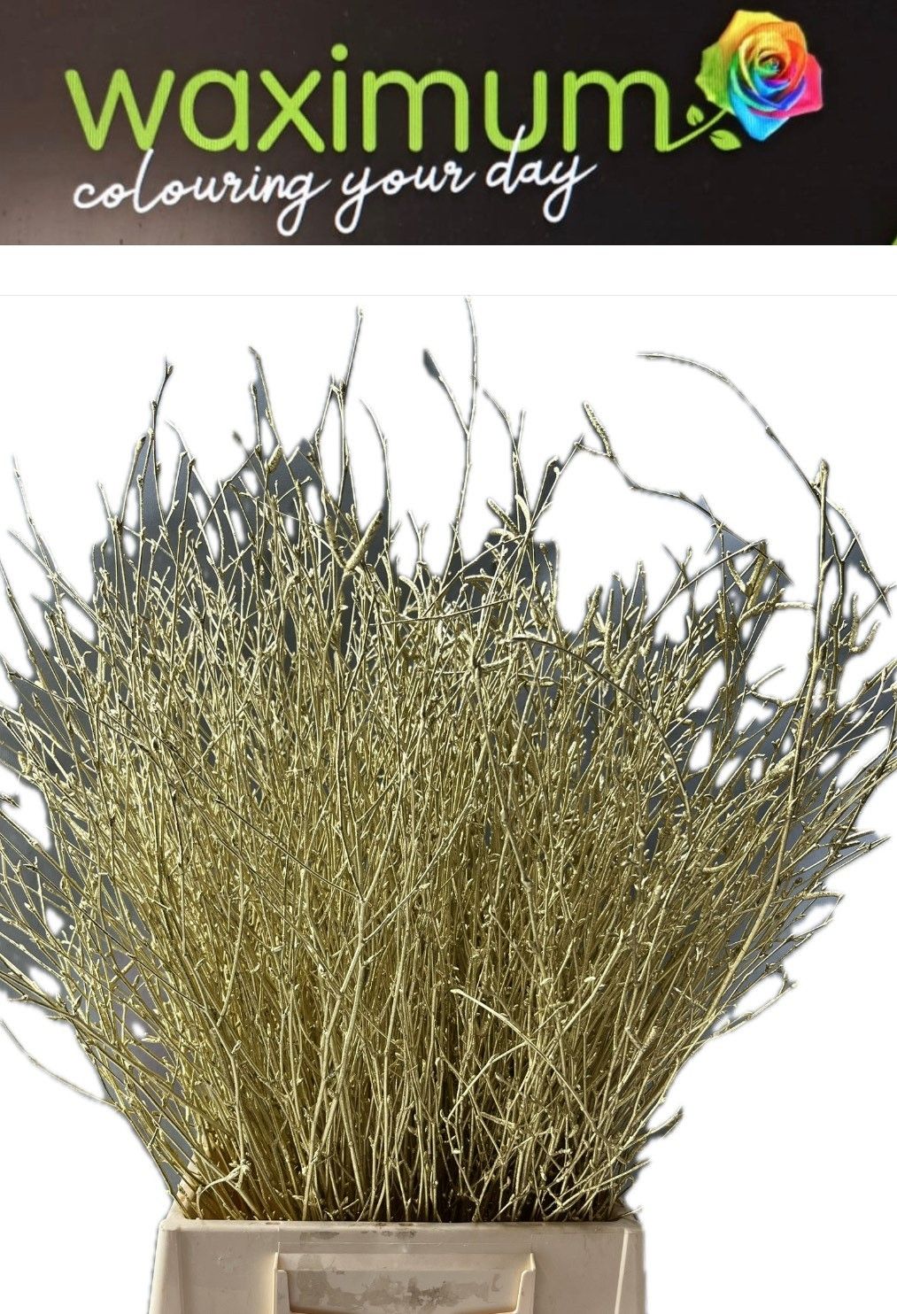 Беркетакен Овериг Крашеный (краш. ) 70, шт.