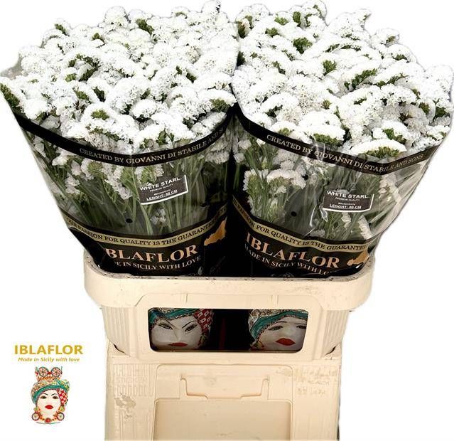 Статица Вайт Старлайт Вингз 80 (бел.), шт.