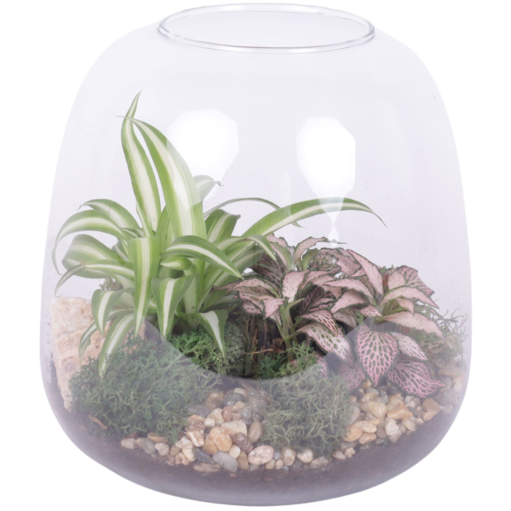 Yearround Arr. Indoor Glass Vase Terrarium Round Ø19cm 2PP, D 19