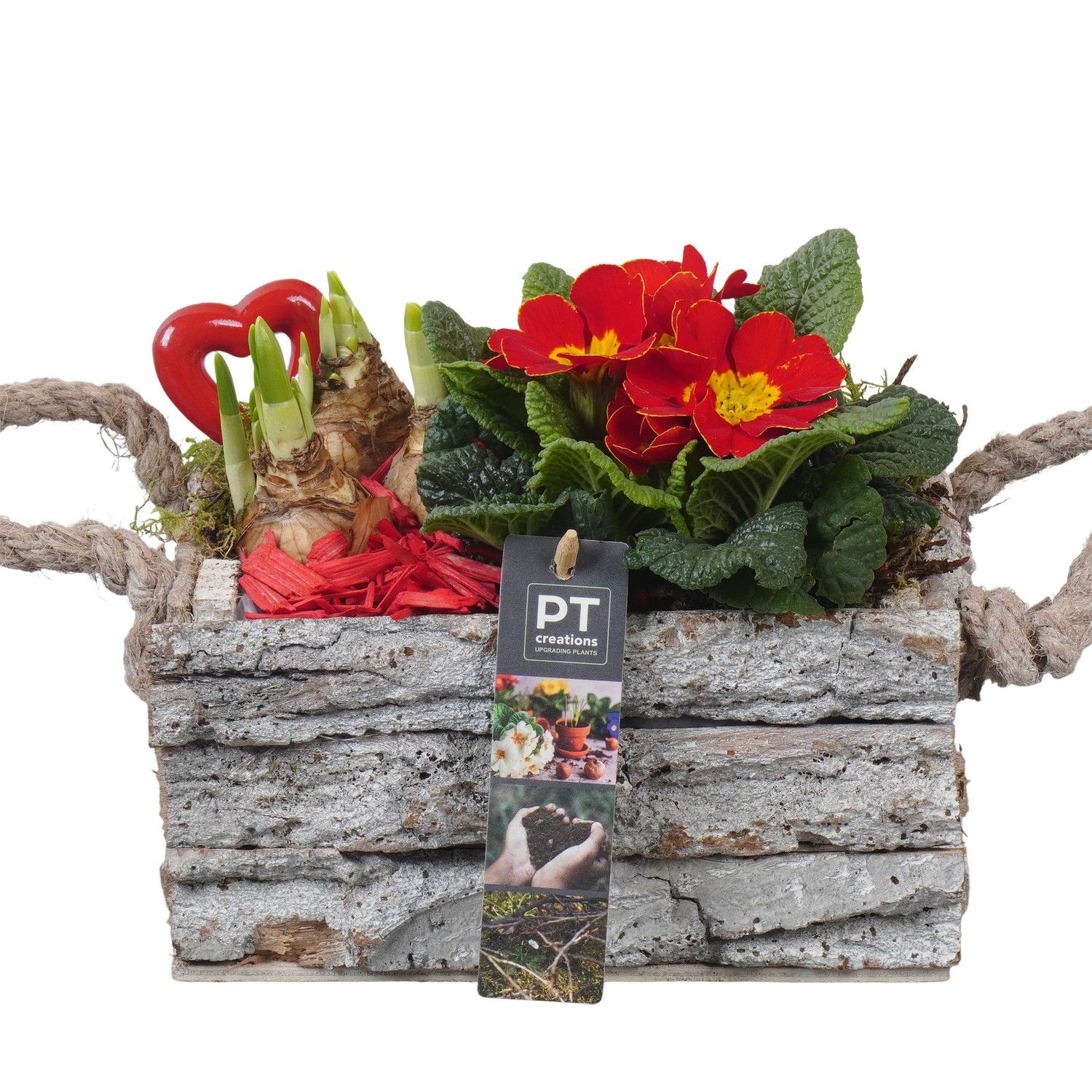 PTVO3623 Arrangement Valentine Outdoor in houten bak, D 20