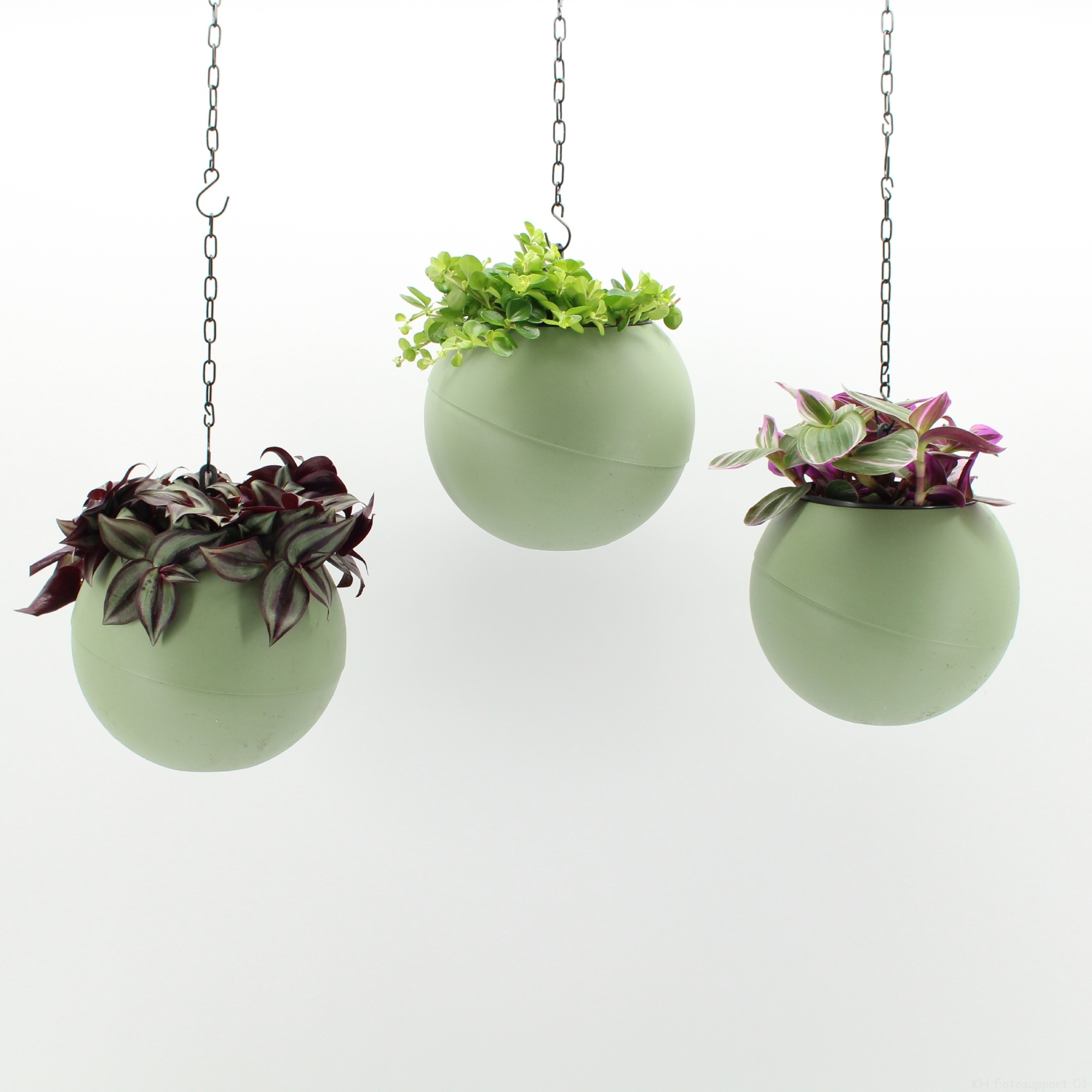 Globee Indoor Smit mix 2 126, D 20