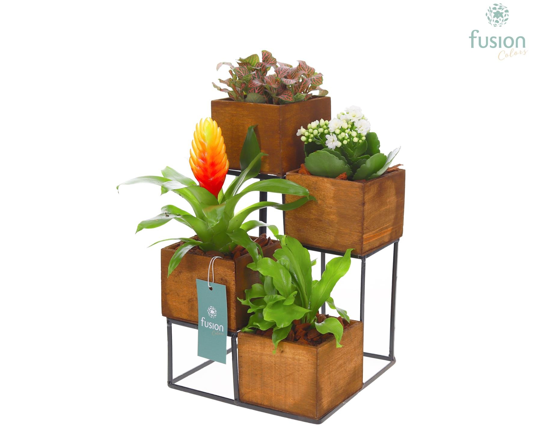 Tower hout met metaal met Bloeiende en Groene Planten, D 19