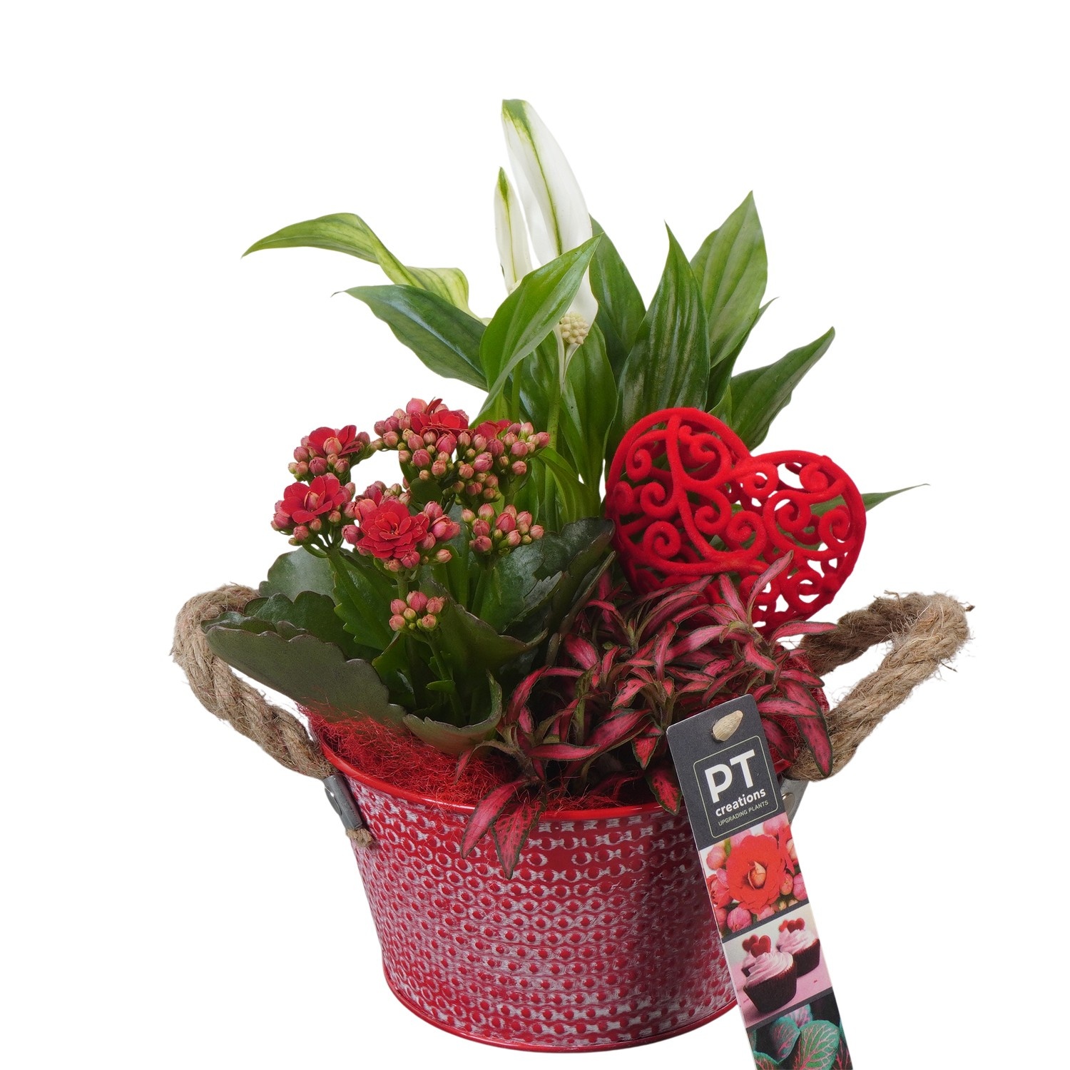PTVMB2365 Arrangement Valentines-Mothersday in zink sierpot, D 15
