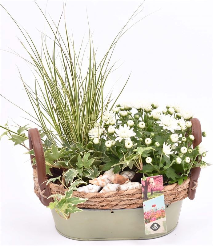 Zink ovaal groen met jute 23x14cm, D 23