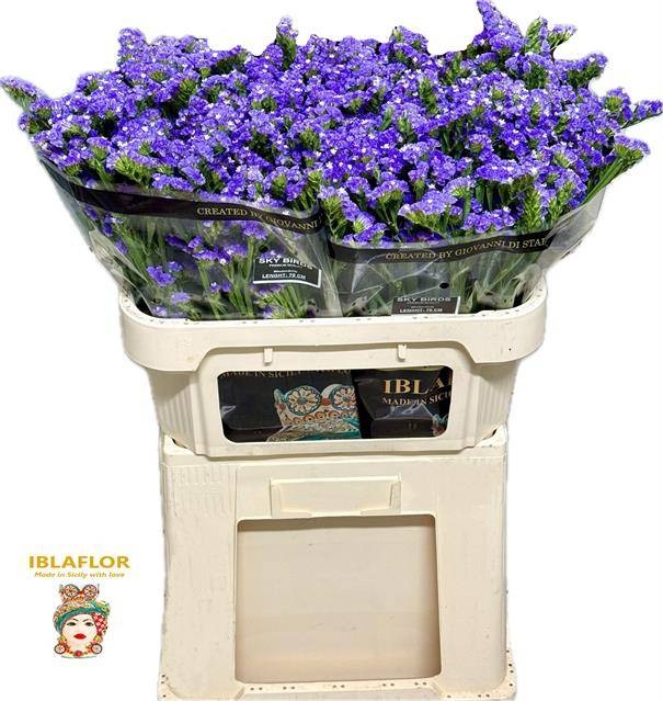 Статица Скай Бердс 70, шт.