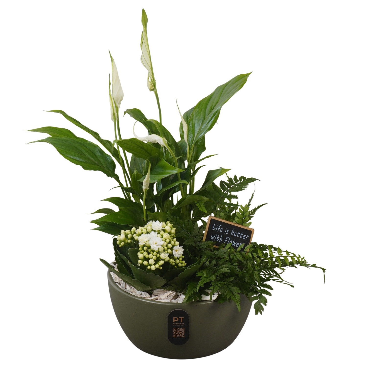 PTIB5144 Arrangement Indoor in keramiek schaal, D 18