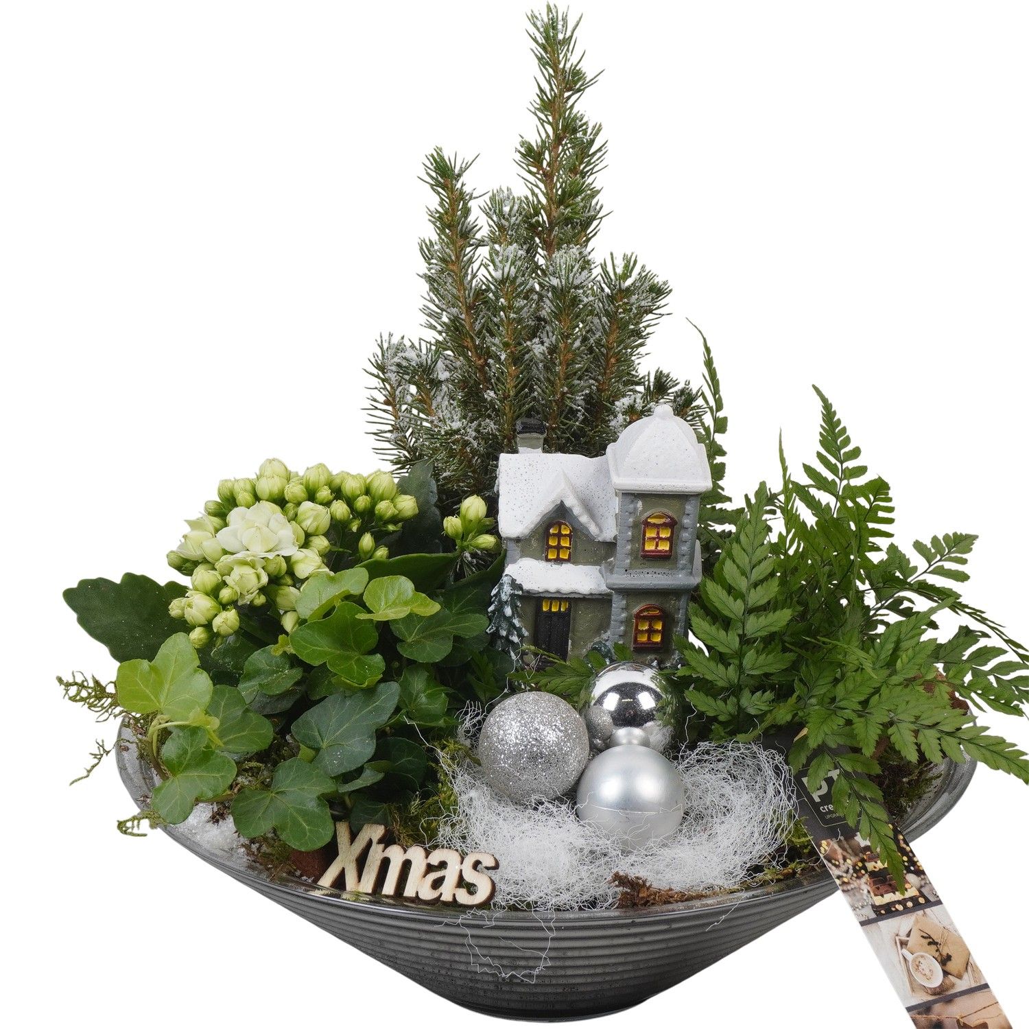 PTCHW4361 Arrangement Christmas White in glas schaal, D 26 cm