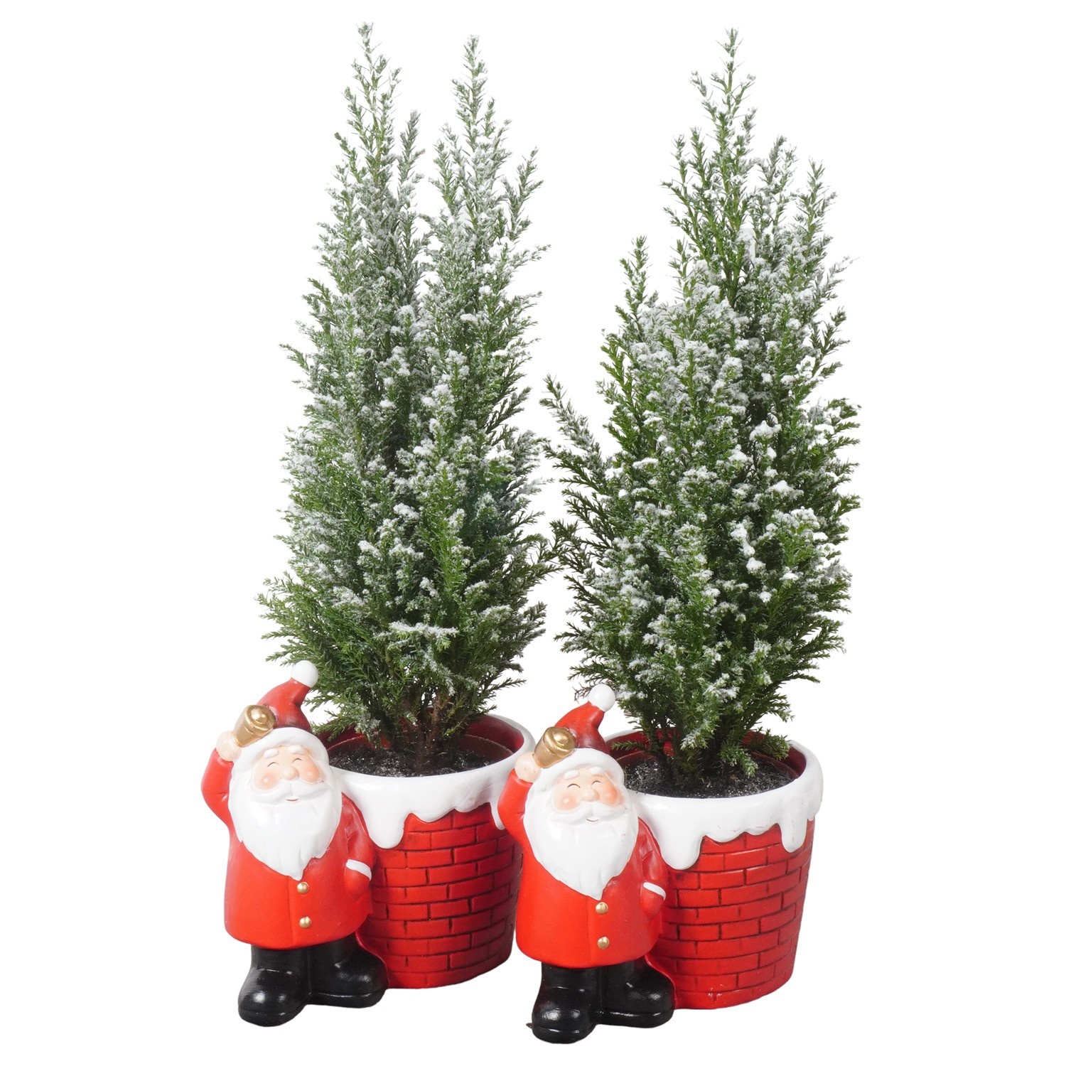 PTK26786 Ellwoodii met sneeuw in keramiek pot, D 15