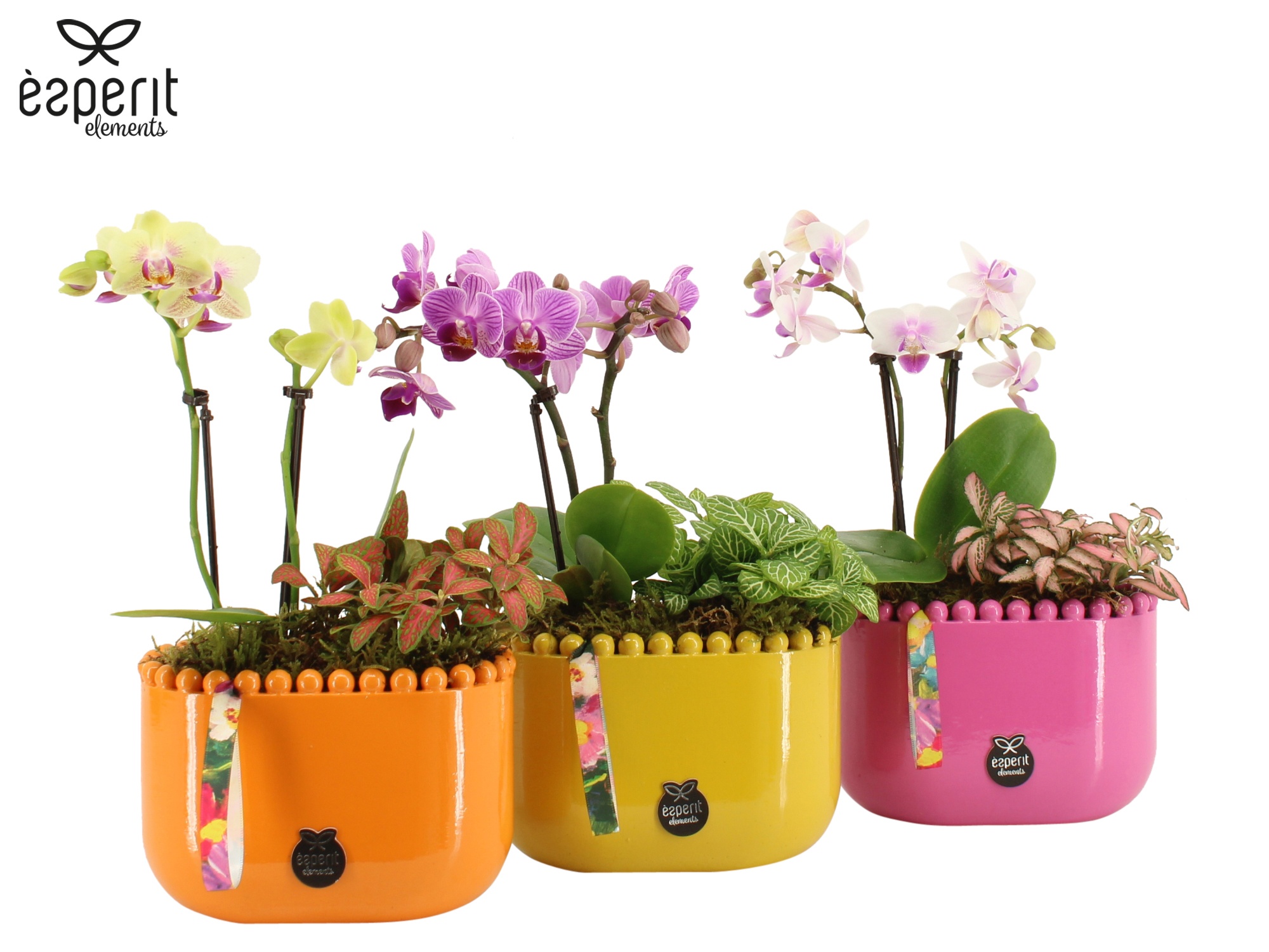 31783: Reinvention arrangement, D 14