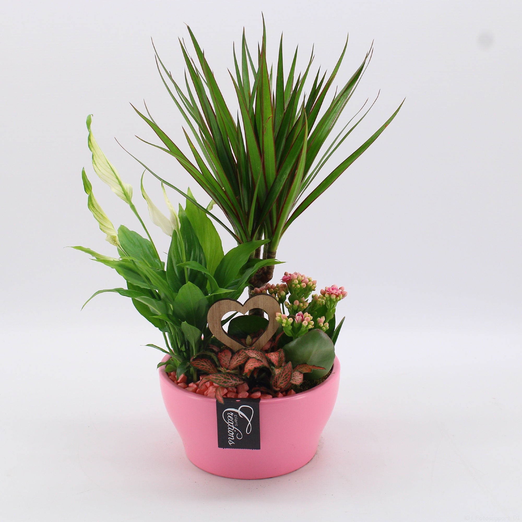 FDRM-2609RZ Romantic Fundamentals, D 19