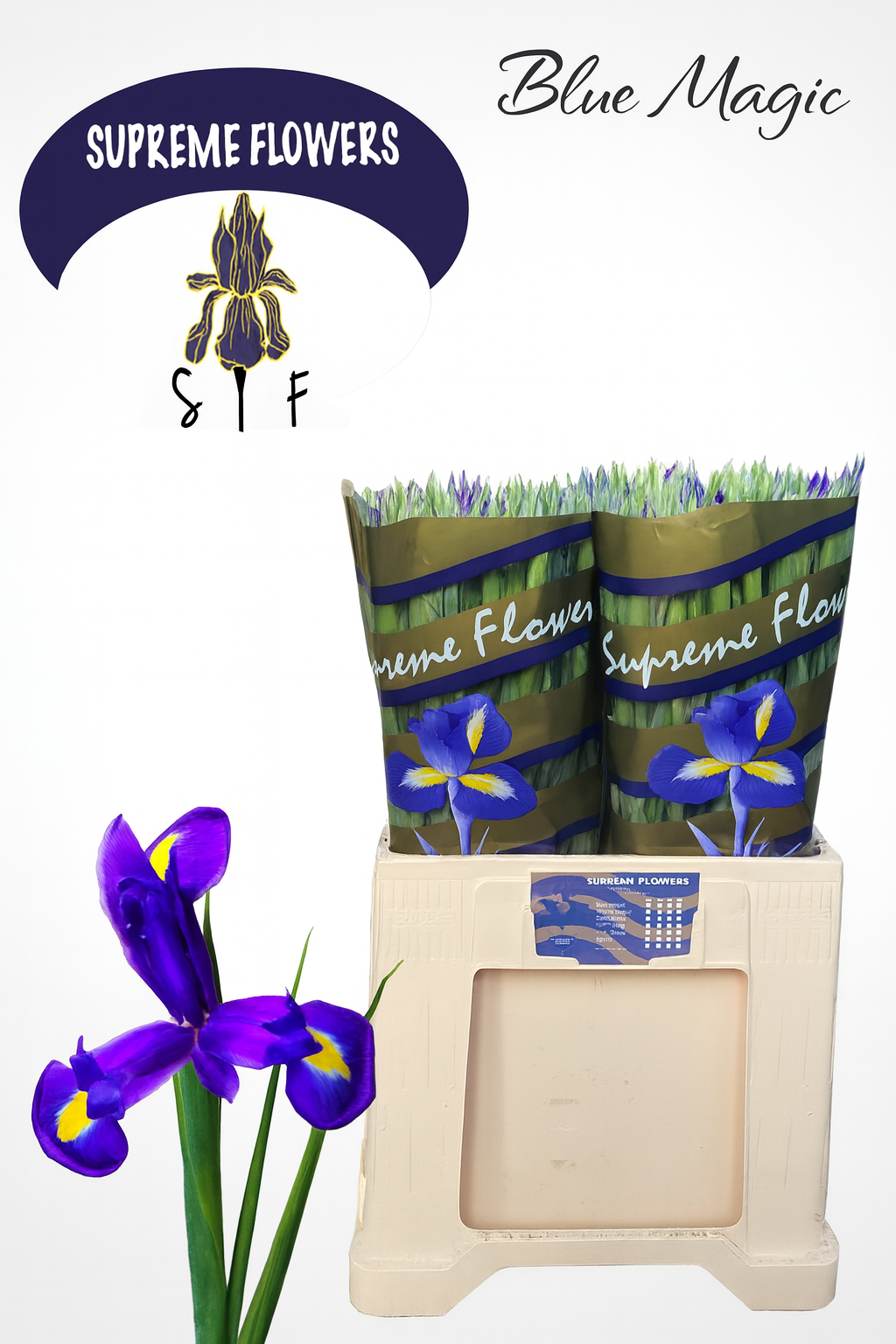 Ирис Блю Мэджик (син.), шт.