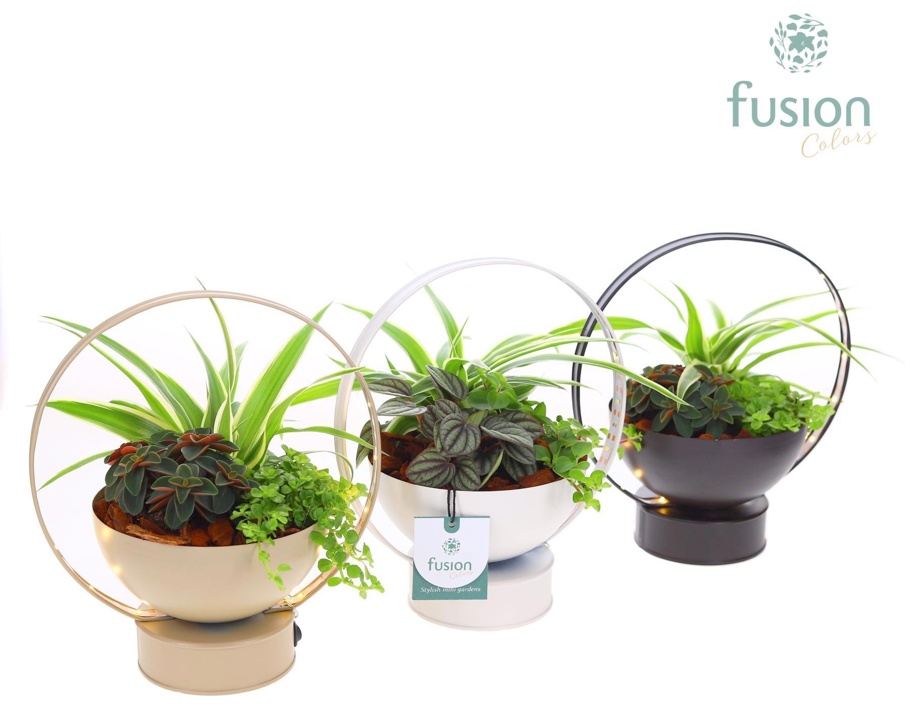 LED planter zink schaal met arrangement, D 20