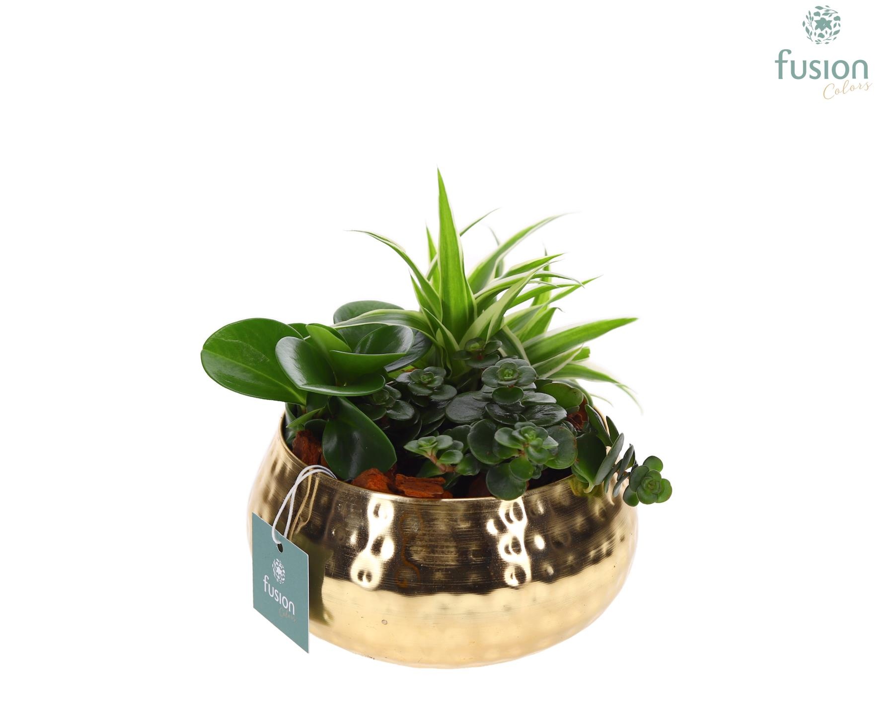 Schaal Indian metaal goudkleurig met groene planten, D 15