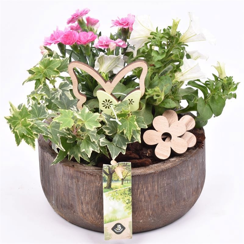 Hout schaal br. 19cm, D 19