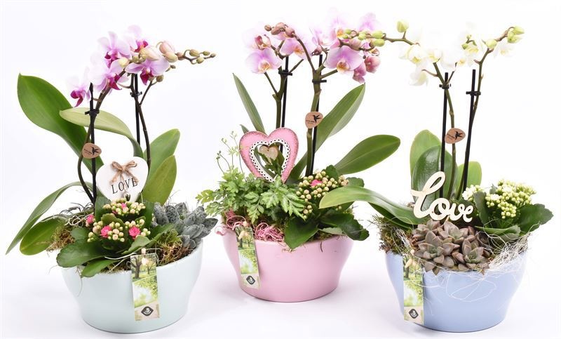 Keramiek schaal kl.mix 18.5cm, D 18