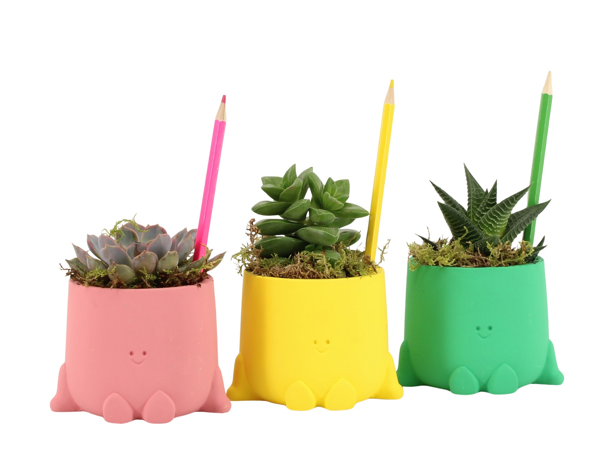 31712: Love school arrangement, D 8