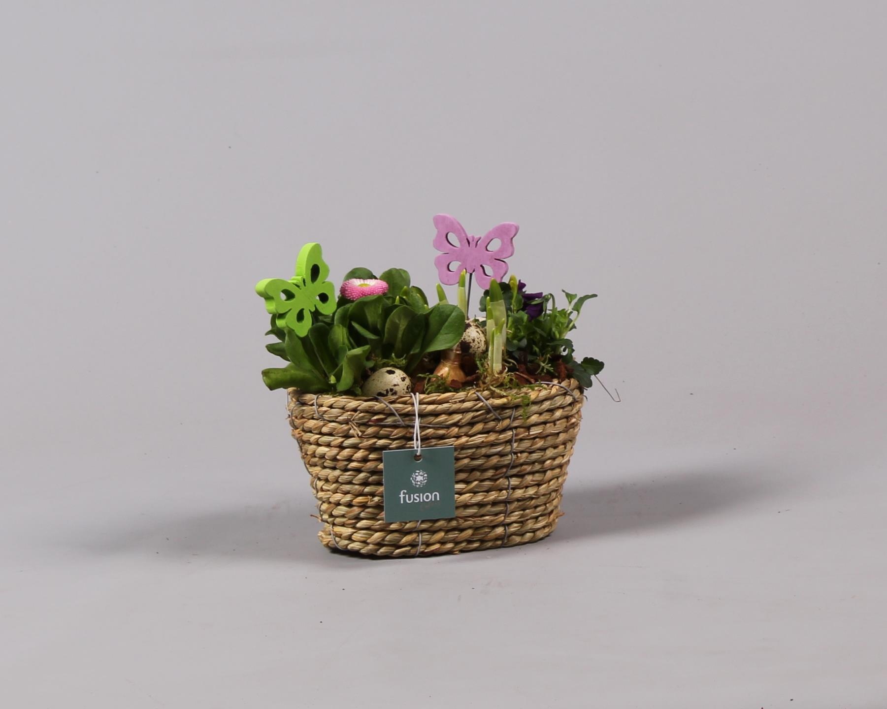 Mand ovaal zeegras voorjaar, D 18