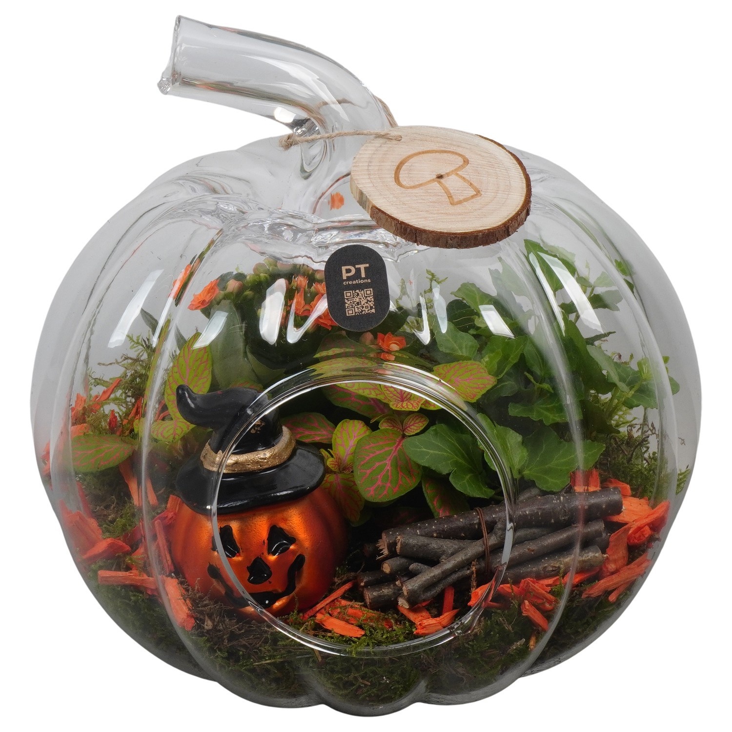 PTHL3539 Arrangement Halloween in glazen pompoen, D 23