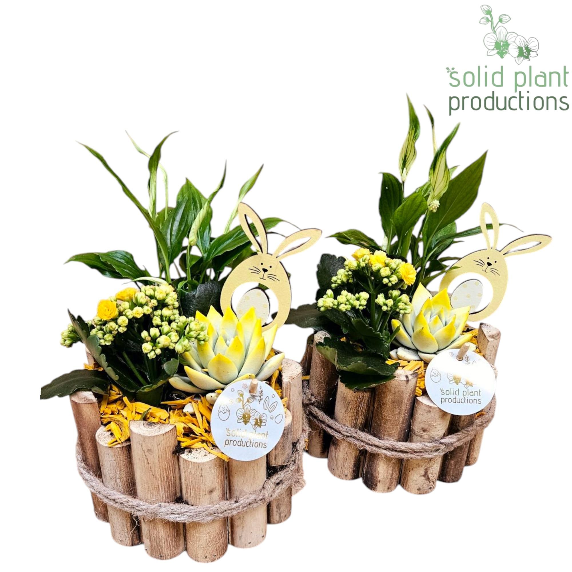 HSE001 Milano Small Easter, D 17