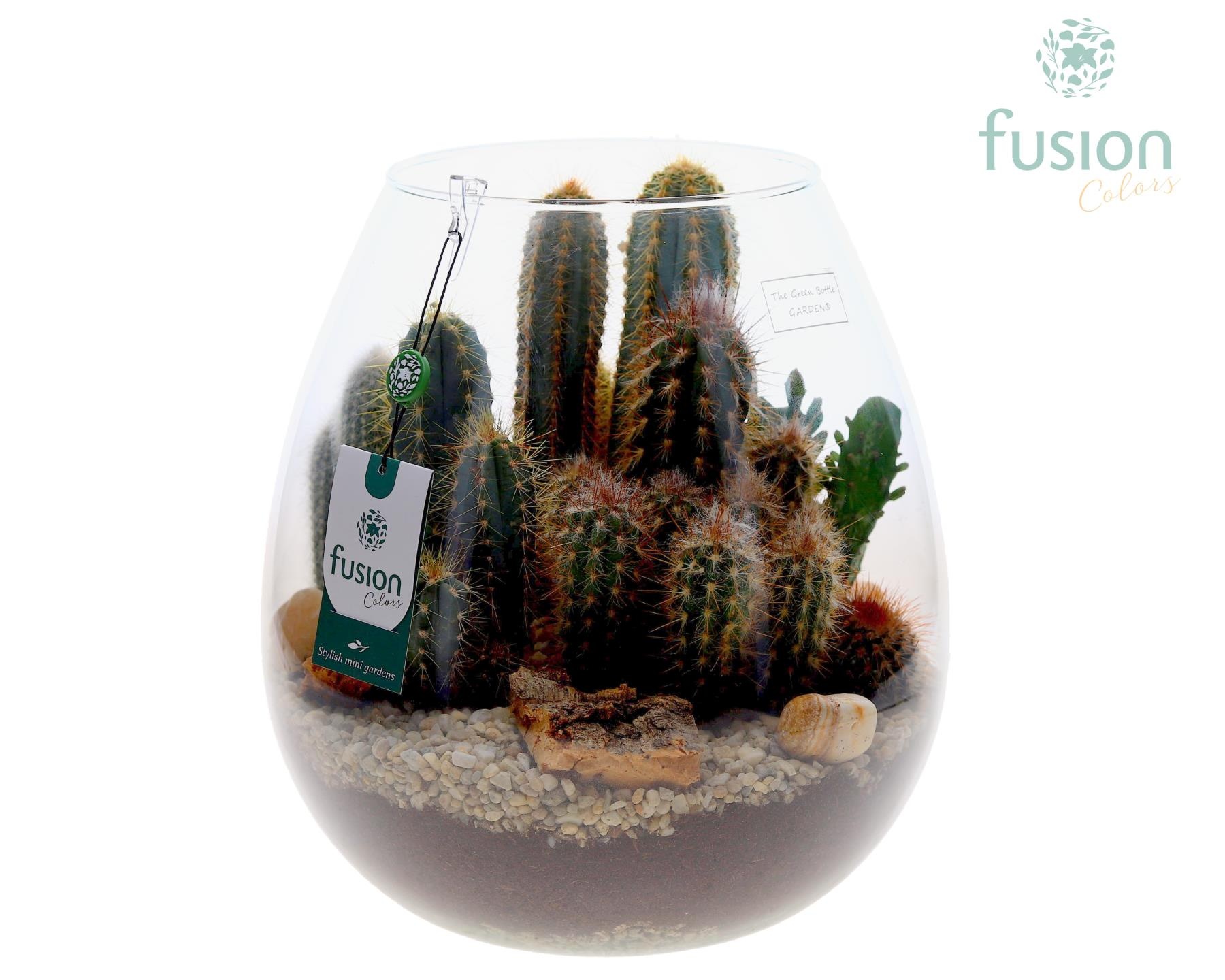 Green Bottle Abby XLarge met Cactussen, D 29