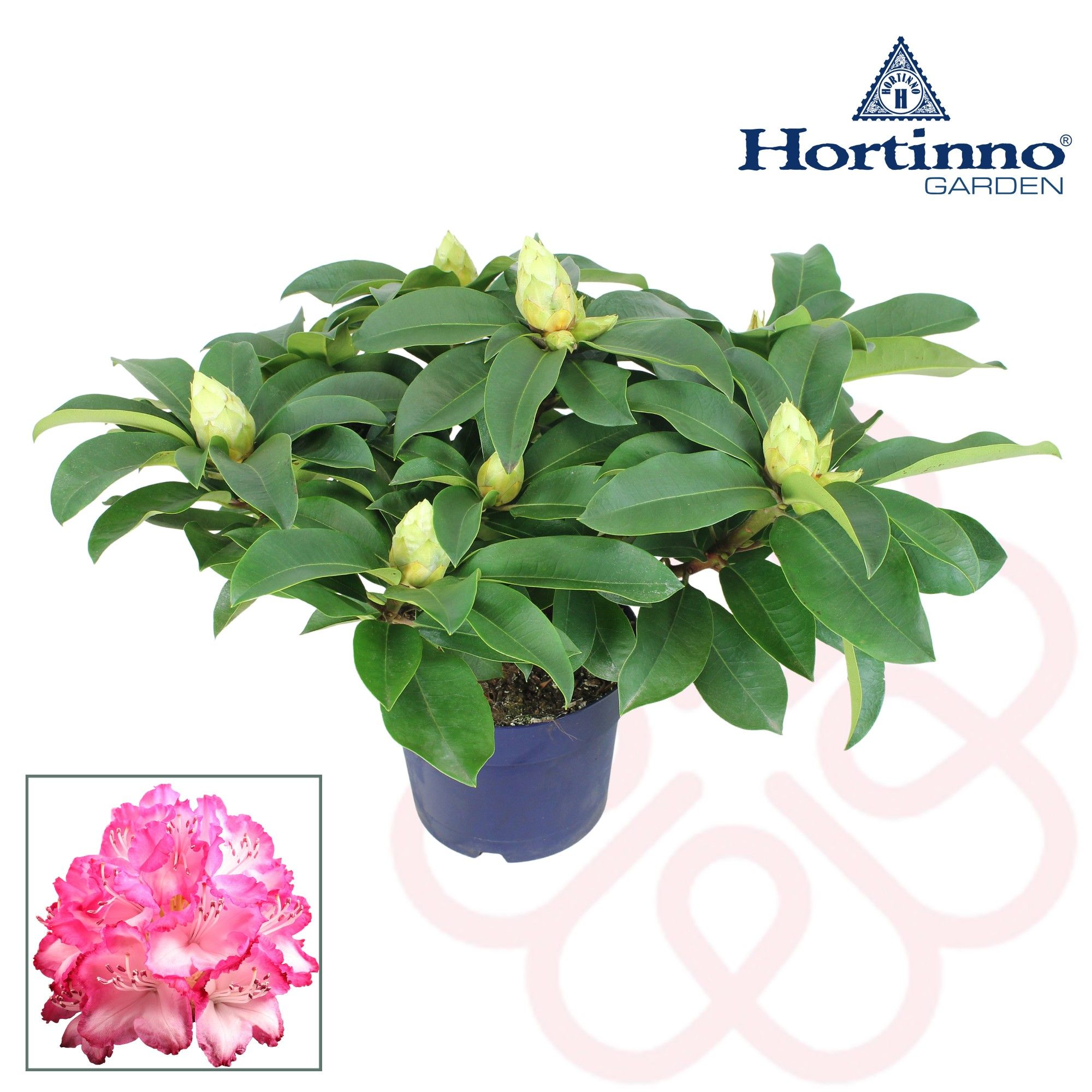 Hortinno® Garden XXL The Original groen 35 - 40 cm, D 19 cm
