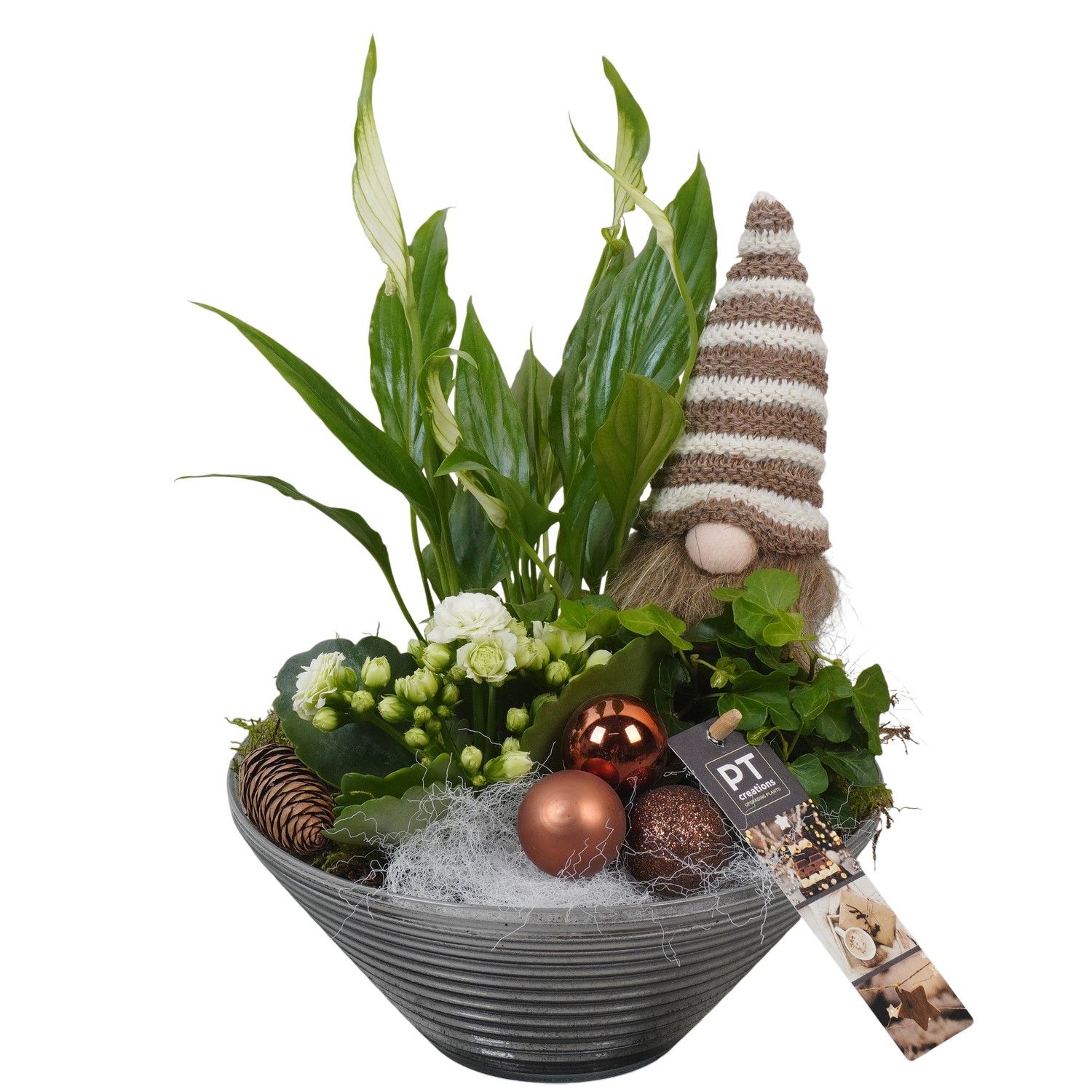 PTCHB9835 Arrangement Christmas Bronze in glas schaal, D 19 cm