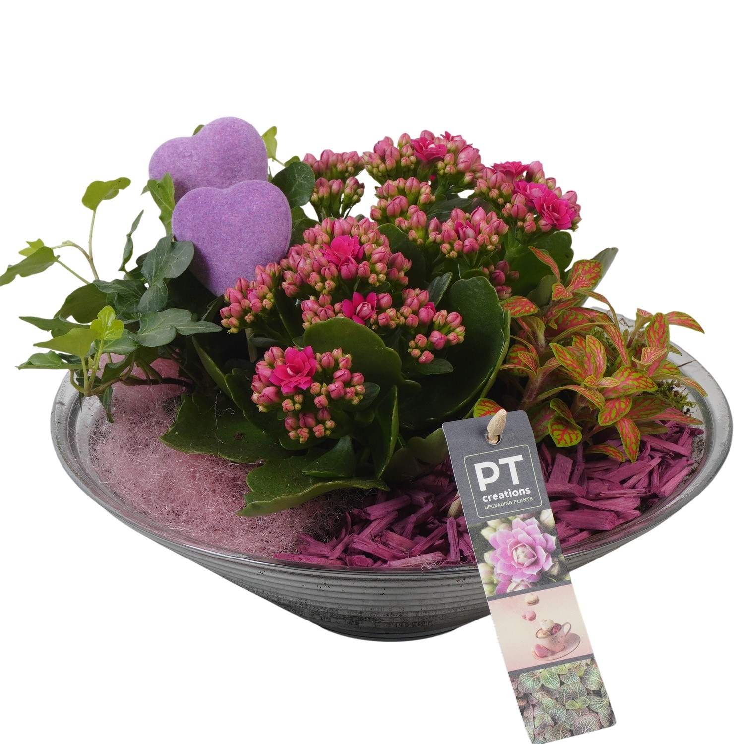 PTVMG4974 Arrangement Valentines-Mothersday in glas schaal, D 26