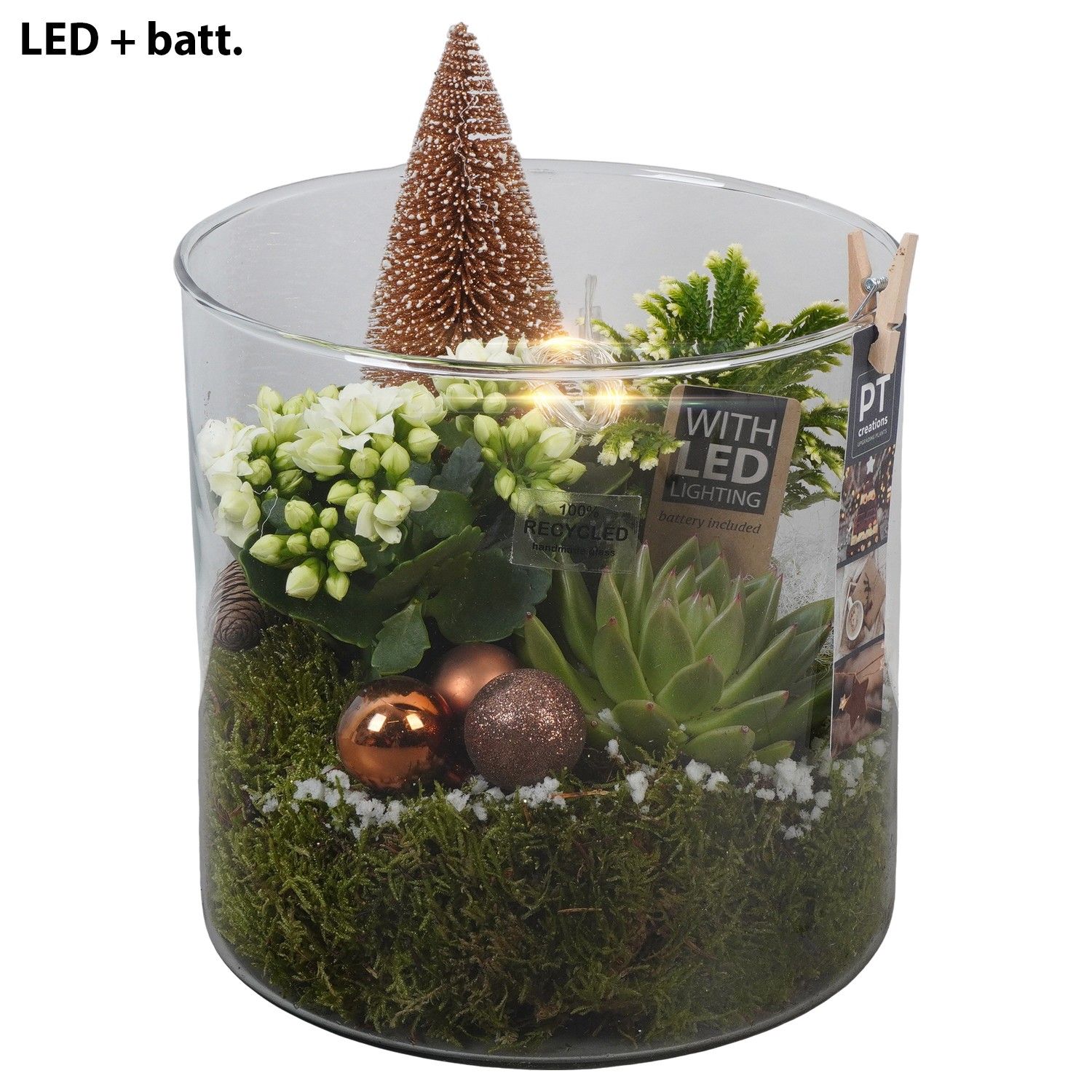 PTCHB9877 Arrangement Christmas Bronze in glazen pot, D 19 cm