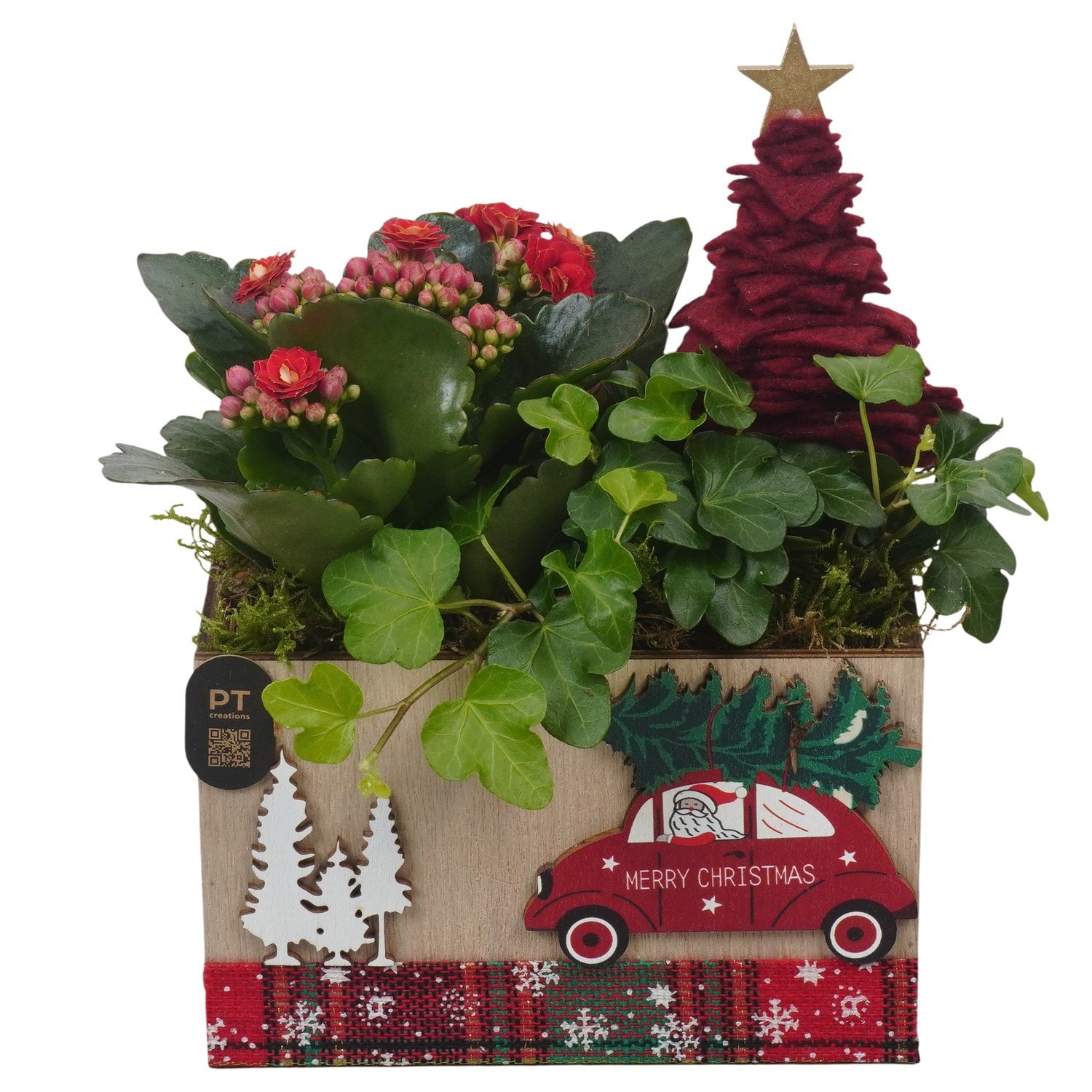 PTCHR9638 Arrangement Christmas Red in houten bak, D 15