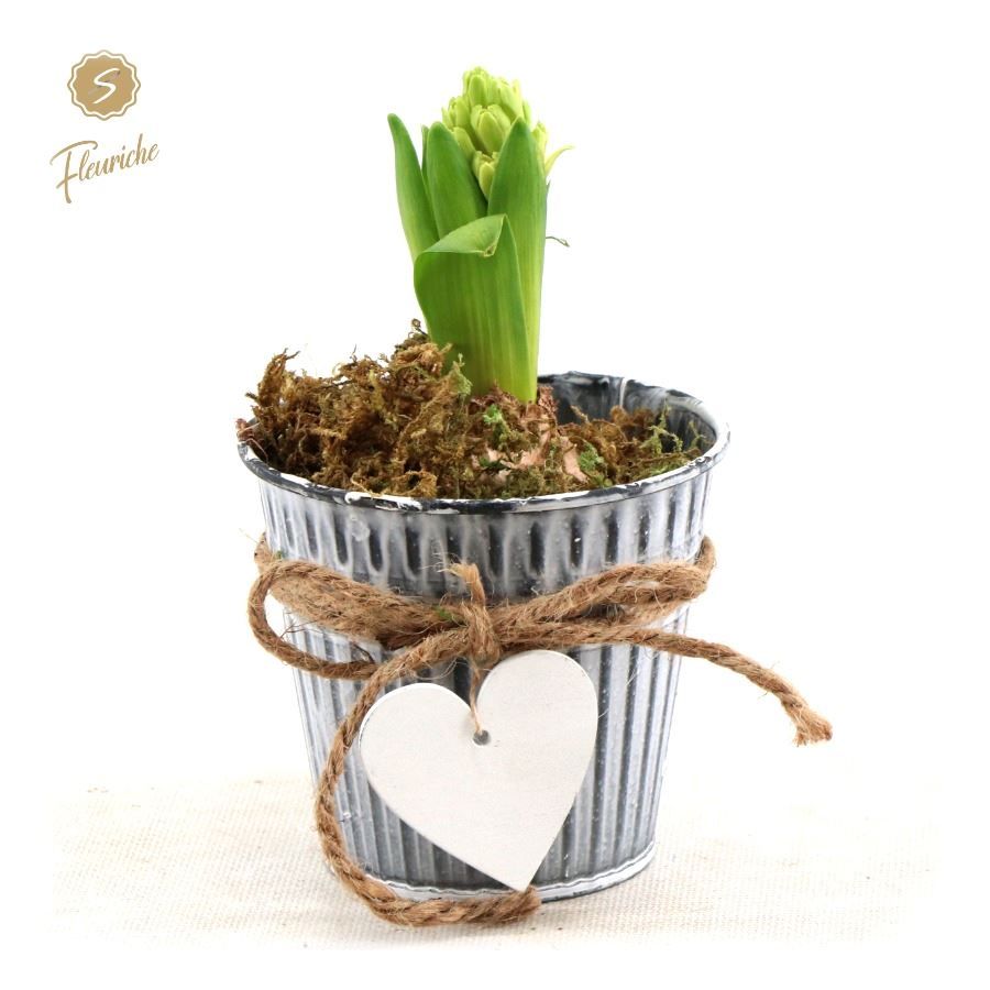 (DN353) Hyacint Zinc Bucket Heart, D 10