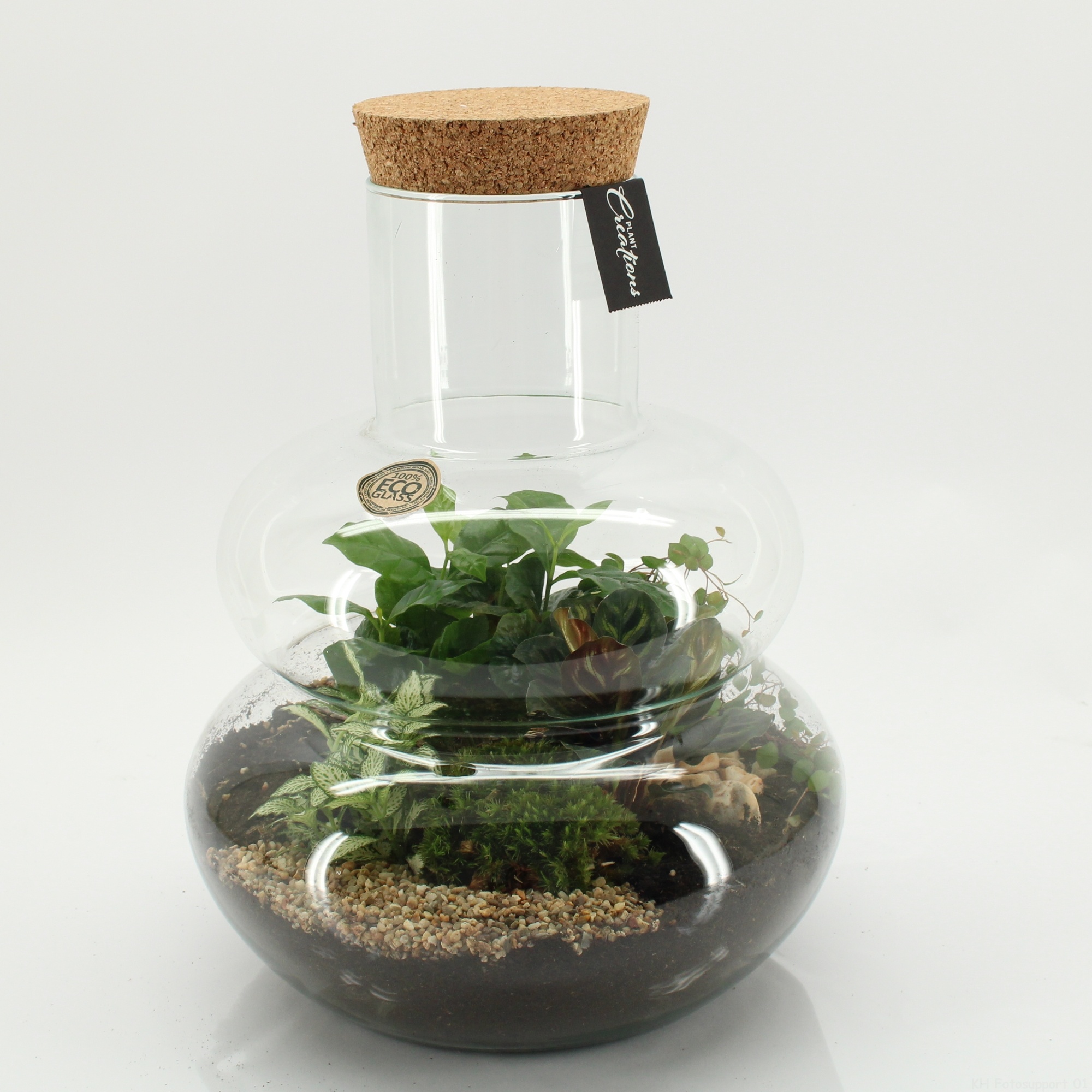 GRCR-2653 Green Essentials terrarium, D 29