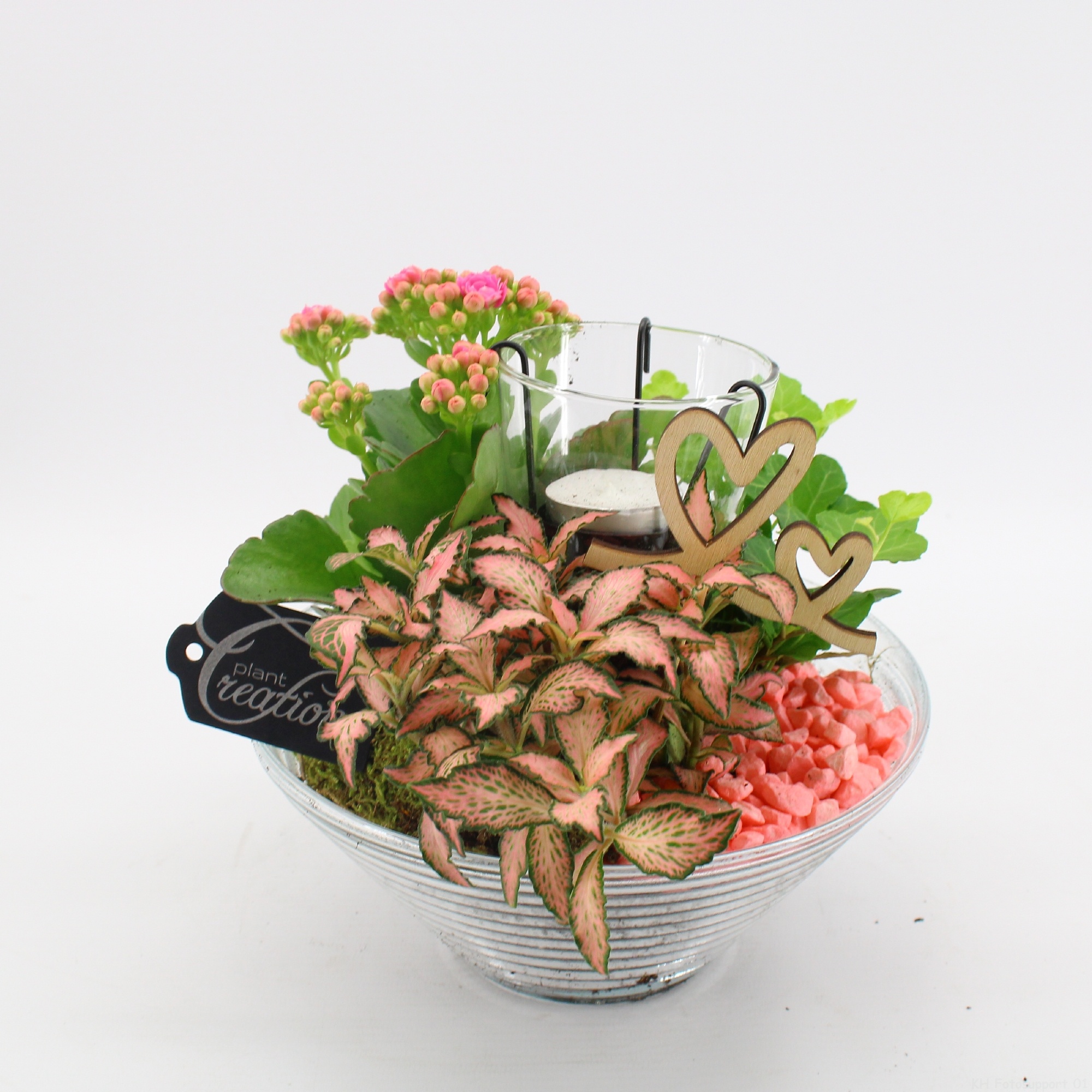 FDRM-2603RZ Romantic Fundamentals, D 20