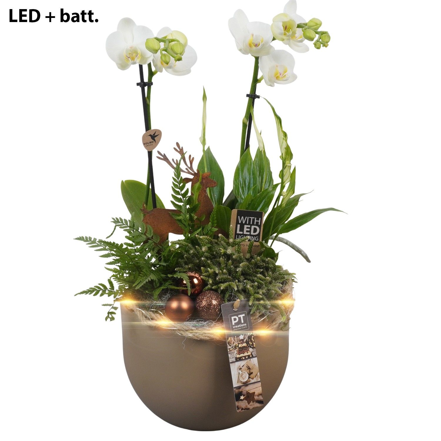 PTCHB9740 Arrangement Christmas Bronze in keramiek pot, D 19 cm