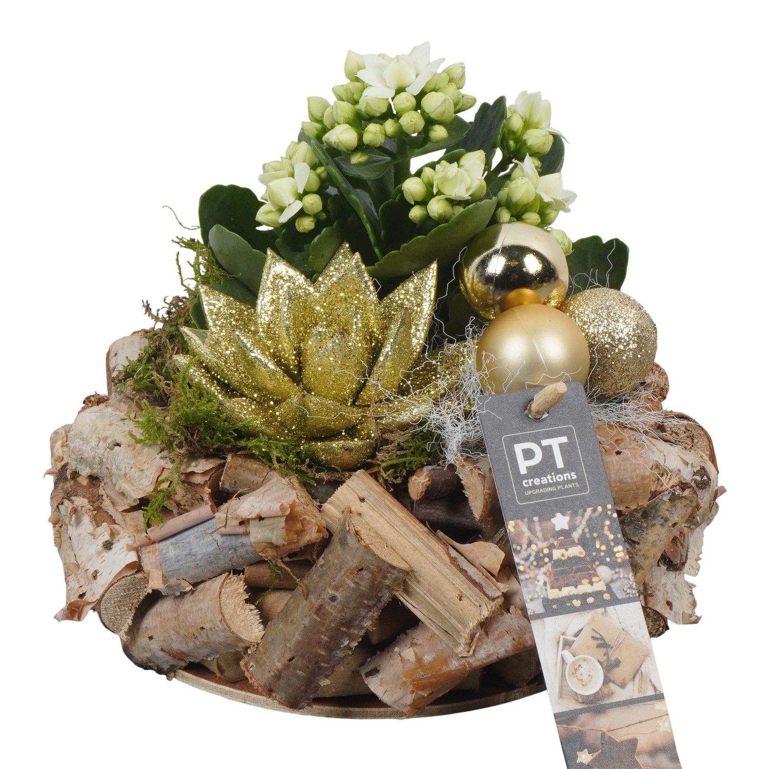 PTCHG5679 Arrangement Christmas Gold in houten pot, D 20 cm