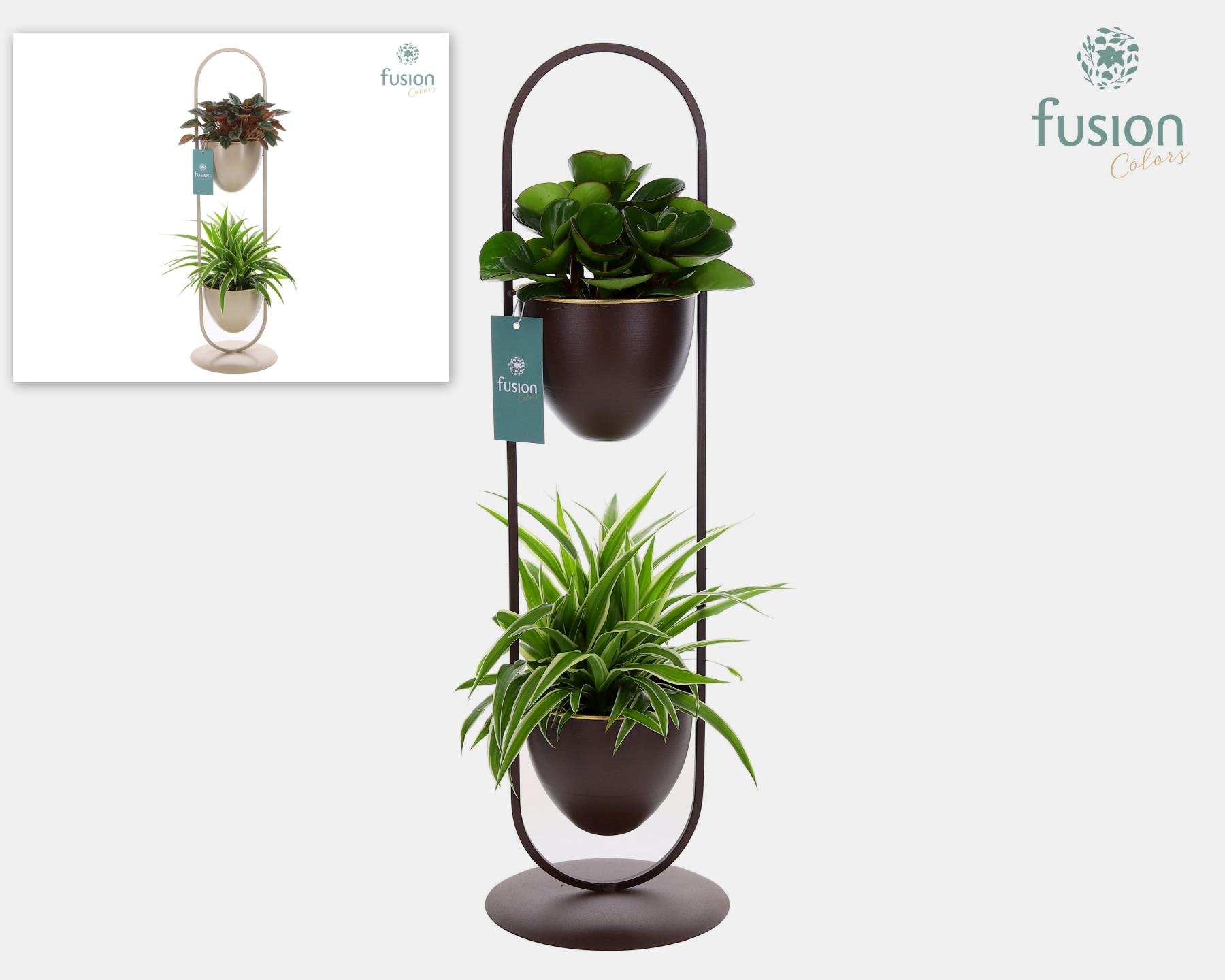 Metaal rek met 2 potten div. kleuren met groene planten, D 18