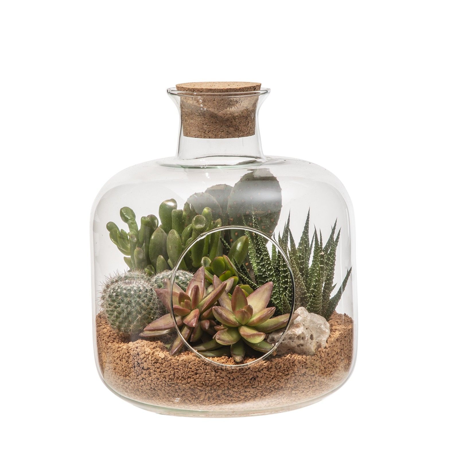 GLASS COMPOSITION - VASE WITH CORK LID - Ø 18 H 24 - IN CARDBOARD BOX CM20X20 (CACTUS EN SUCCULENTEN), D 18