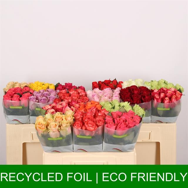 Роза од. Микс в баке 50, шт.