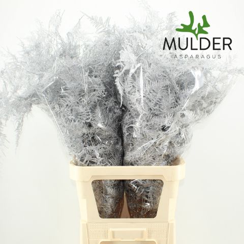 Аспарагус Овериг Крашеный (краш. ) 85, шт.