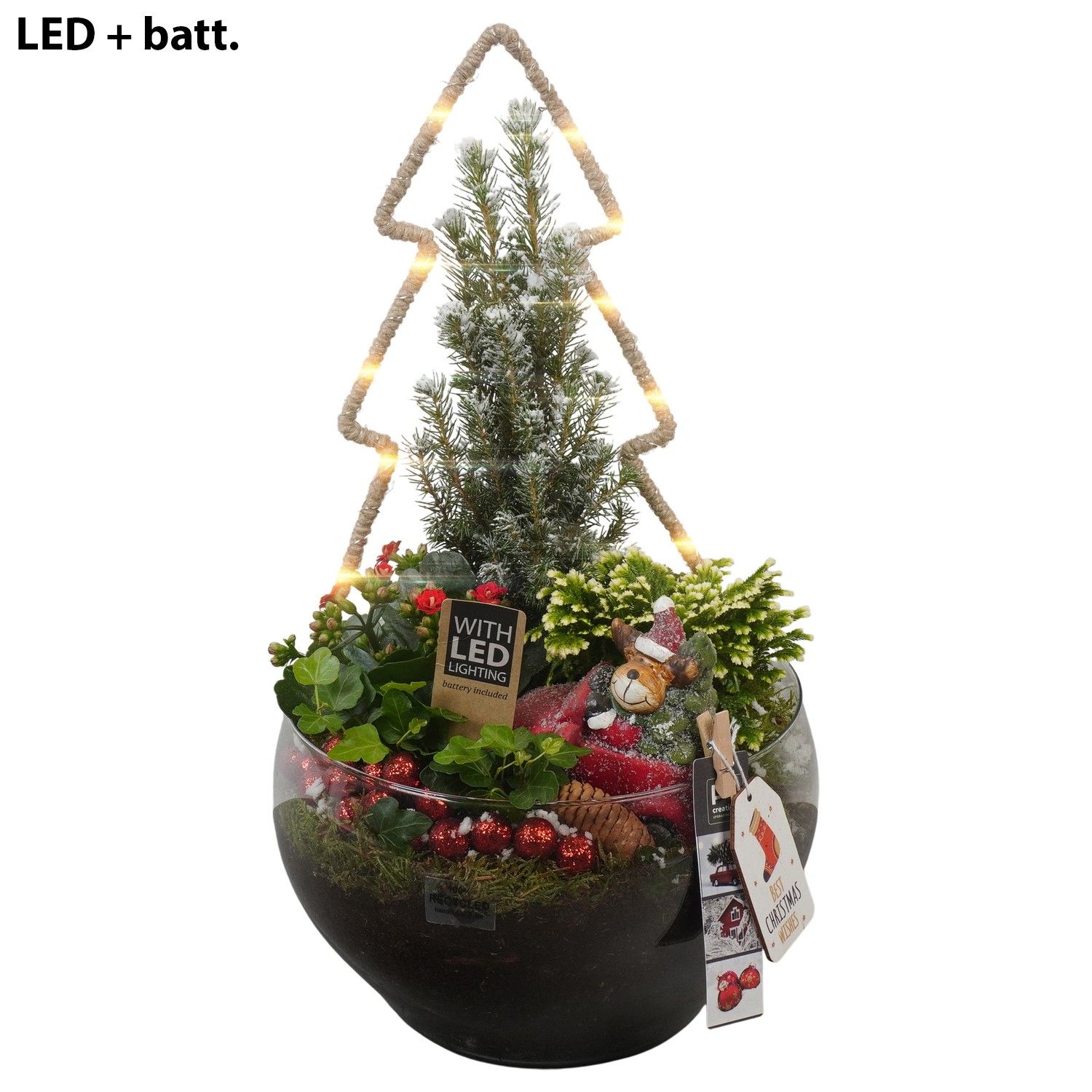 PTCHR7482 Arrangement Christmas Red in glas schaal, D 23 cm