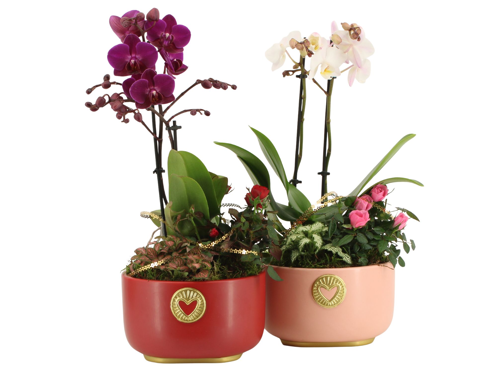 21794: Lovess arrangement, D 17