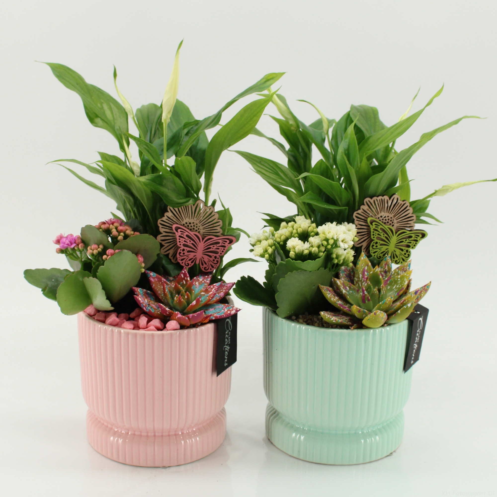 SECR-2608M Summer Essentials Colors, D 14