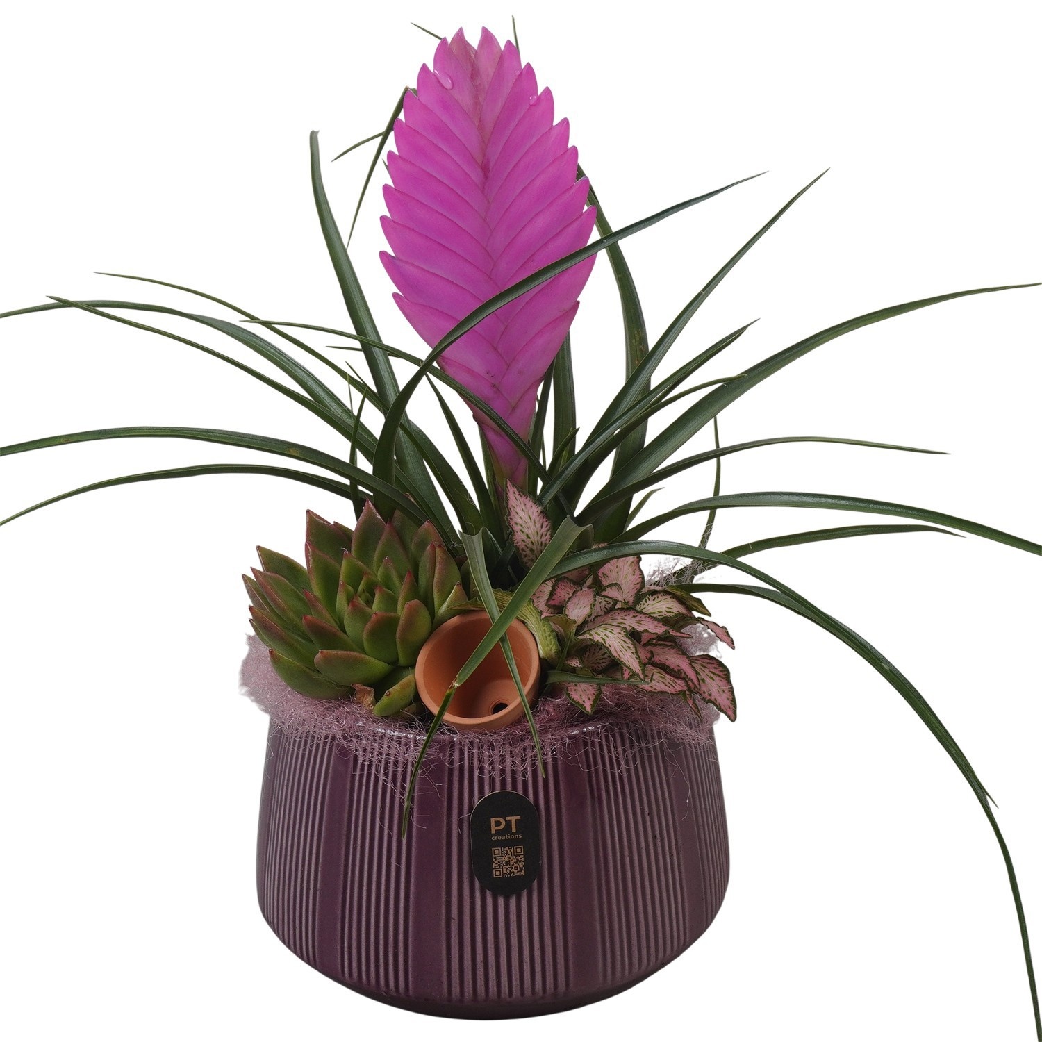 PTIB5173 Arrangement Indoor in keramiek pot, D 14