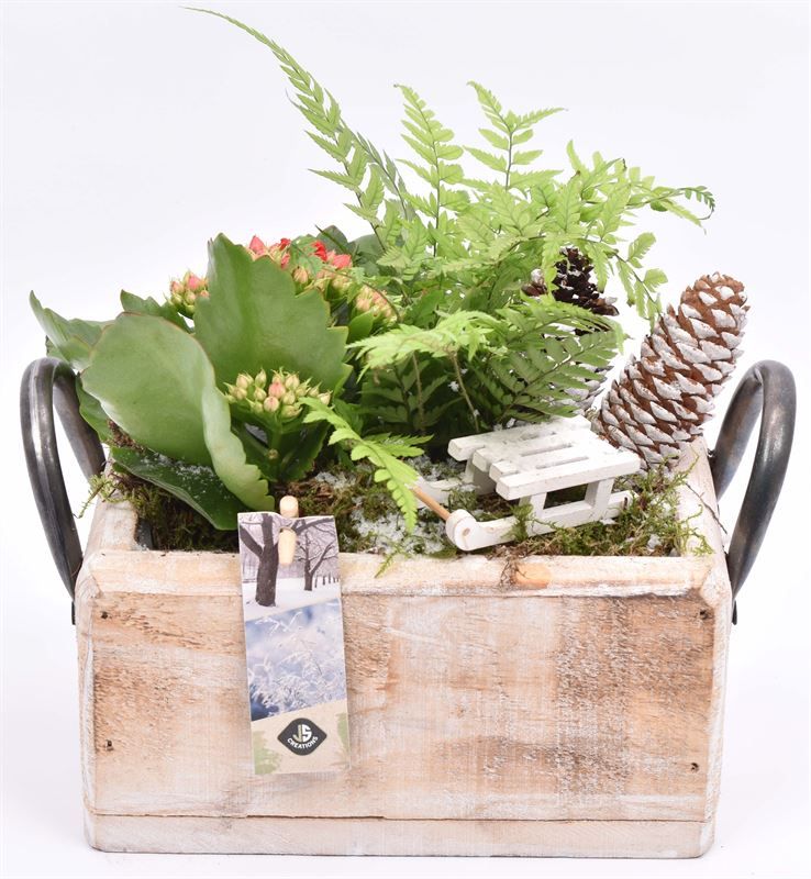 Hout rechthoek met handvat 20x13cm, D 20 cm