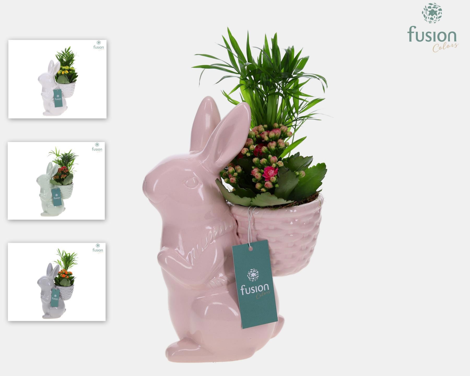 Pasen Haas keramiek medium 4 kleuren met arrangement, D 19