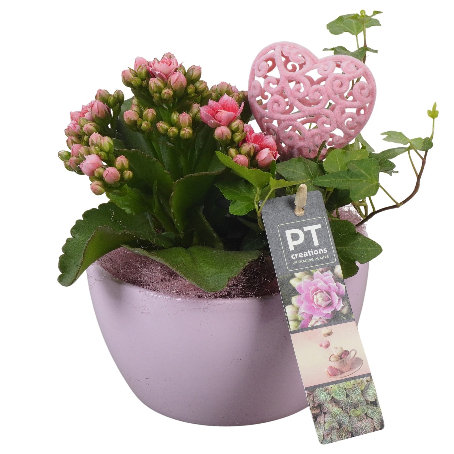 PTVMB2210 Arrangement Valentines-Mothersday in keramiek schaal, D 14