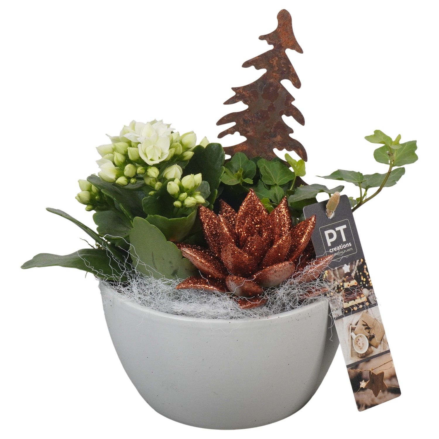 PTCHB9745 Arrangement Christmas Bronze in keramiek schaal, D 14 cm