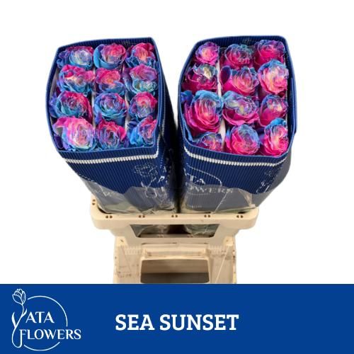 Роза од. Овериг Крашеная (краш. ) 60, шт.