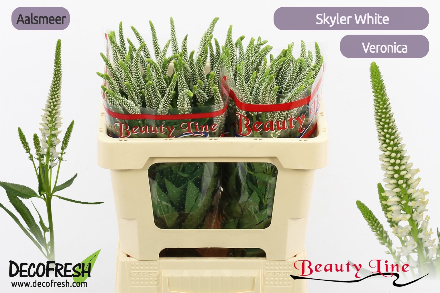 Вероника Скайлер Вайт 50 (бел.), шт.